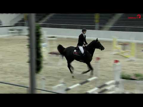 Cornet de Semilly Sporttest Verden