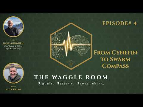 The Waggle Room - Episode 4 - Dave Snowden - From Cynefin to Swarm Compass