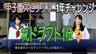 甲子園スピリッツやるよ(ピッチャー編)/プロ野球スピリッツ2019