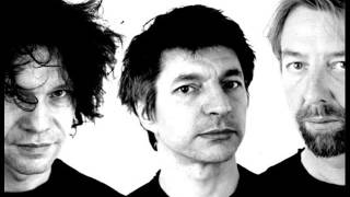 THE YOUNG GODS ¤ Collector 1989-2009 ¤