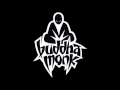 buddha monk - prepare for the buddha monk