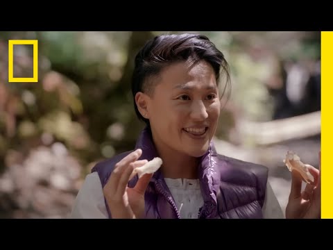 Foraging for Mushrooms in Olympic National Park | National Geographic