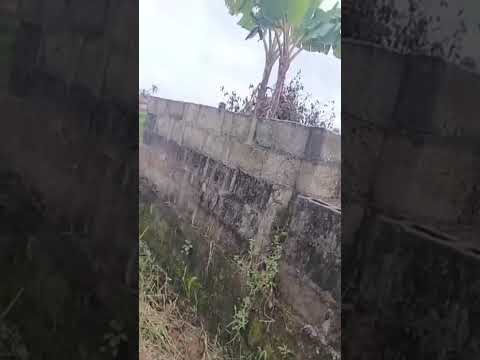 30ft × 120ft Land at Lanre Bus Stop, Igando