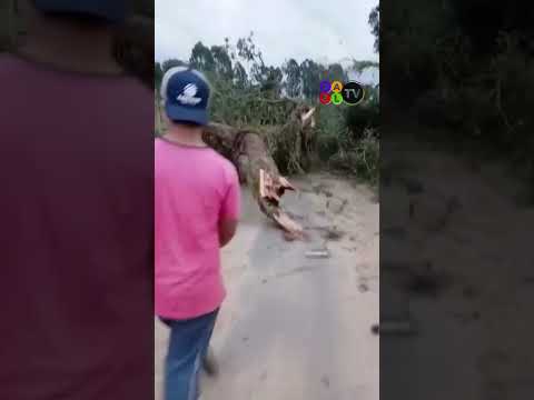 TORNADO NO PARANÁ: VÍDEOS EM PIRAÍ DO SUL E CASTRO, MOSTRAM A PASSAGEM E DESTRUIÇÃO. #GAELTV
