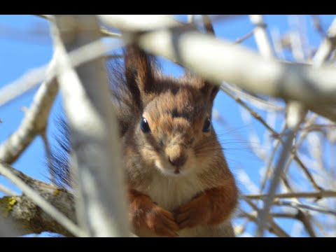 Kävin lenkillä ja postissa & kiitos