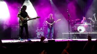 Directo "Al lodo brillo"&"Vergüenza torera"&"La fauna"