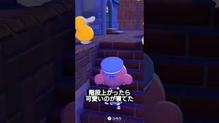 階段上がったら可愛いのが寝てた #ポケモン #ぽこあポケモン