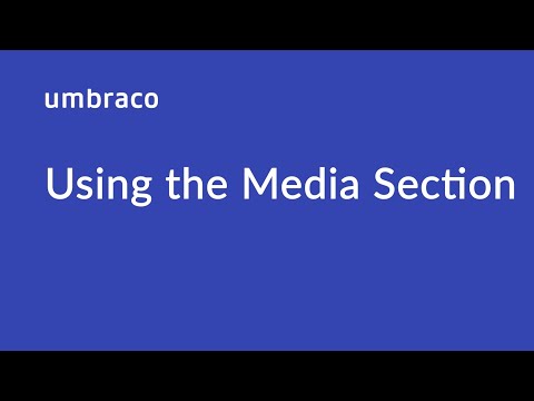 Using the Media Section in Umbraco