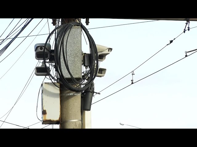 Проверка ОСАГО по камерам