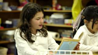 The Albany Academies