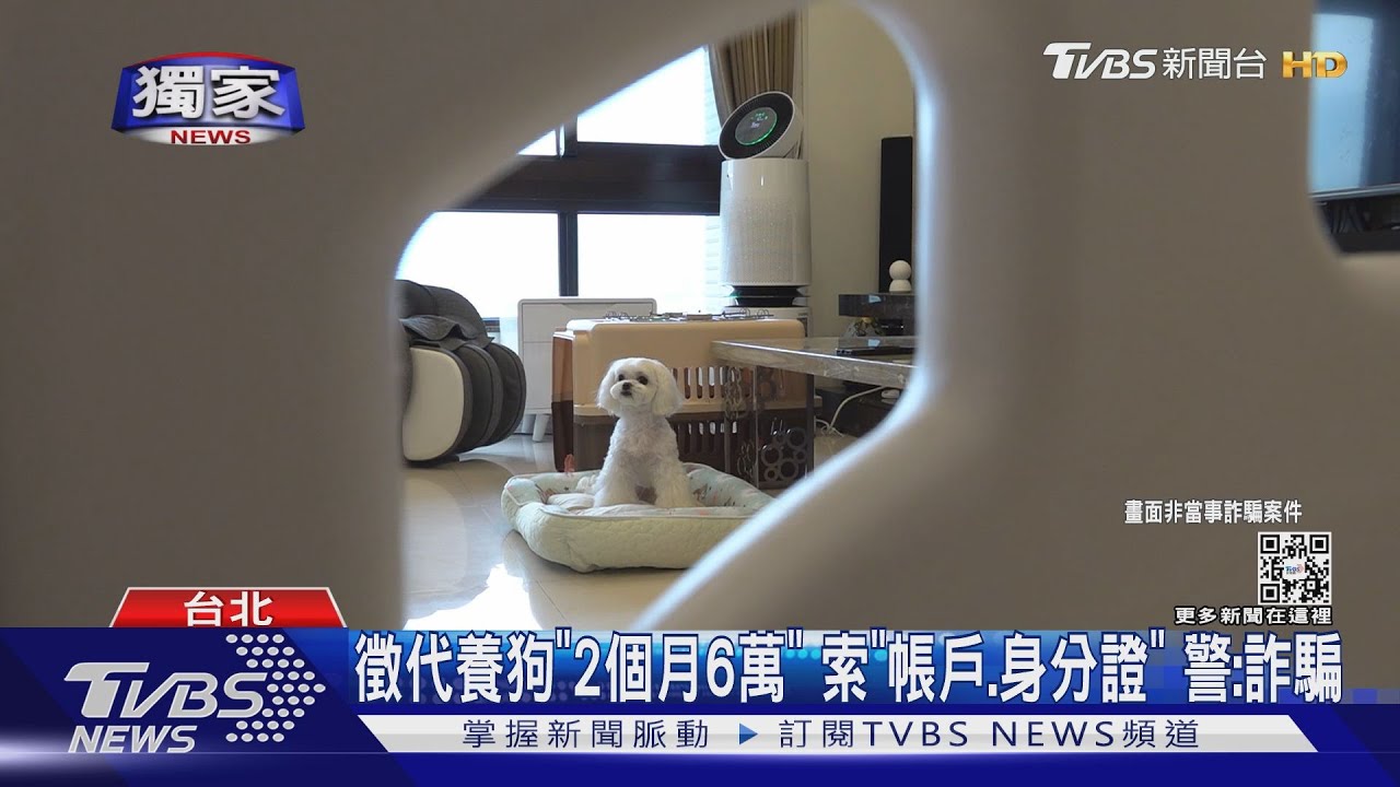 徵代養狗「2個月6萬」！索「帳戶、身分證」　警：詐騙