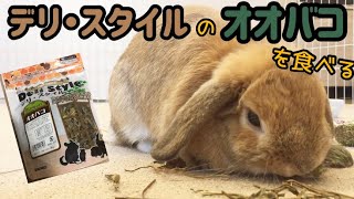 【デリ・スタイル オオバコ】小動物、うさぎ用おやつを食べる！【bunny eat Plantain】