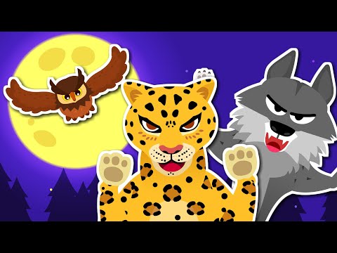 Hunters in the Night | “Ah-ooh~! It’s our world!” | Animal song | Song for kids ★ TidiKids
