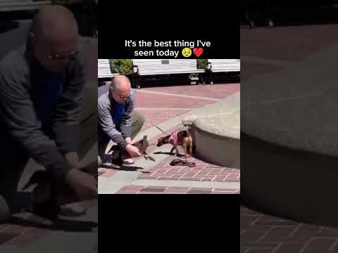 It's the best thing I've seen today 🥹❤️