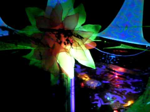 Distorted Goblin live at Kupoles Festival