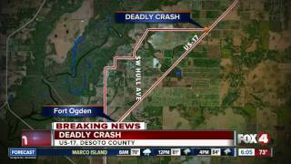Arcadia man dies in single-vehicle crash on U.S. 17