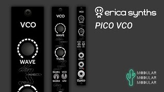 Erica Synths Pico VCO - What To Know & Where To Buy | Equipboard