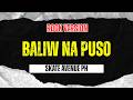 Baliw Na Puso - Skate Avenue PH (Rock Version)