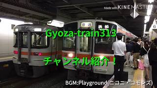 Gyoza-train313の紹介！30秒版(Ver.1.0)