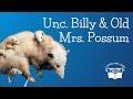 Burgess Animal Book Chapter 34: Unc. Billy and Old Mrs. Possum