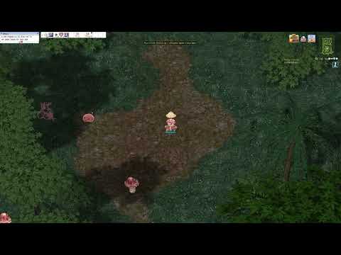 Beautiful Relaxing Music / The Atmosphere Of The Payon Forest