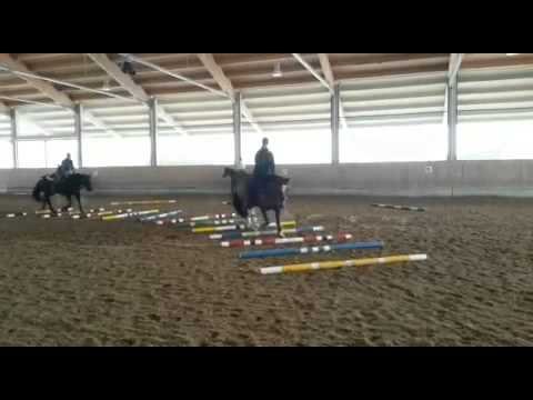 Stangenstunde I Eckhof