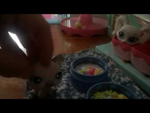 Lps cinderella part 1