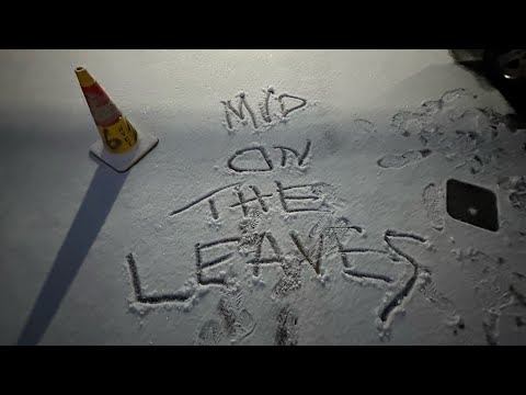 ROB ACE ~ MUD ON THE LEAVES (OFFICIAL MUSIC VIDEO)