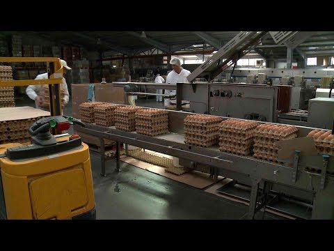 hogyan izgathatja az embert a merevedés