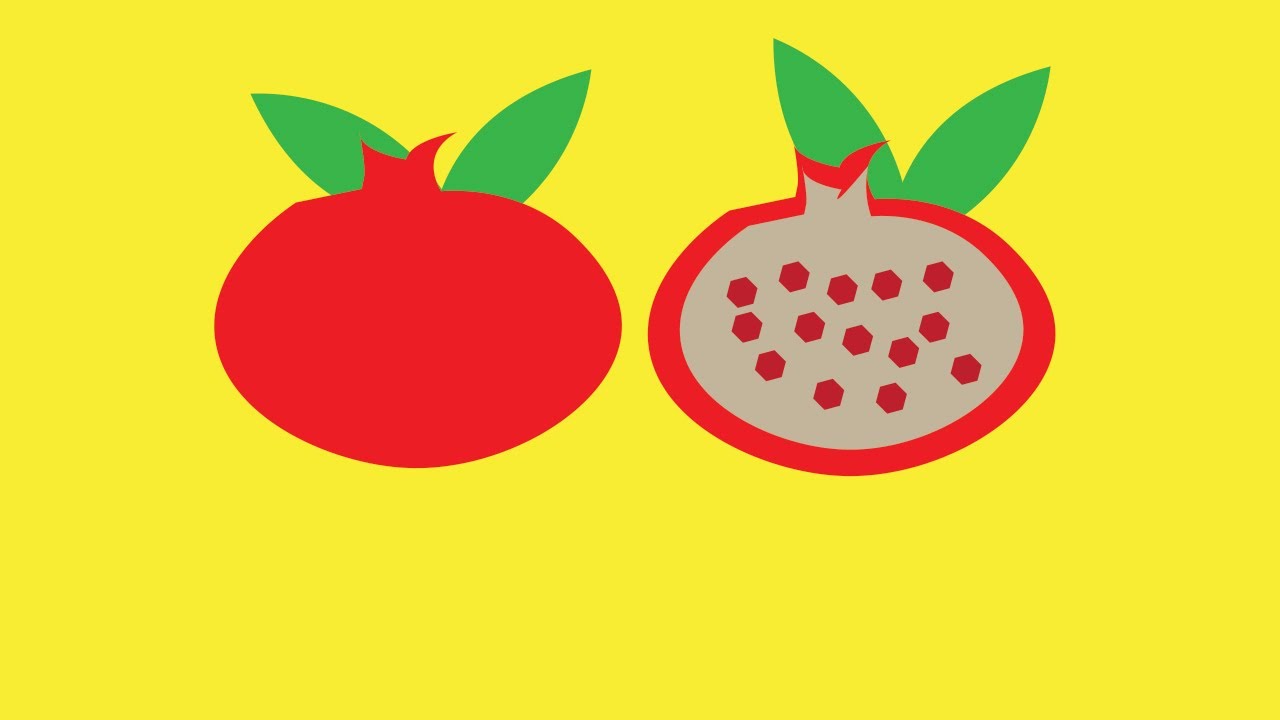 pomegranate vector minimalist illustration or logo