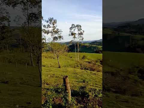 Sapopema Paraná,❤️🚩