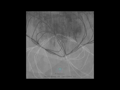 Ptrovici - Maniobra 05 (Original Mix)