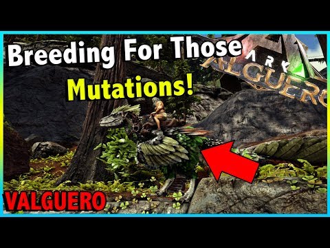 BUILDING THE BREEDING AREA AND BREEDING MY DEINONYCHUS FOR 32 MUTATIONS!! || ARK VALGUERO EP 7!
