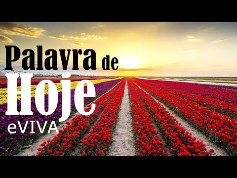 WORD OF THE DAY OCTOBER 28, 2022 MOTIVATION AND REFLECTION GOOD MORNING MESSAGE AND MORNING PRAYE...