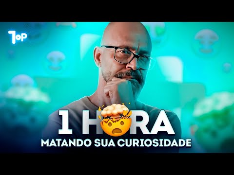 1 HORA DE CURIOSIDADES QUE VOCÊ NÃO SABIA! ⏰🤯