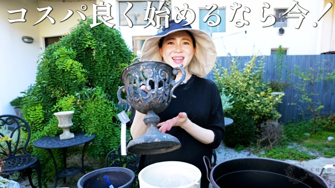 【今がチャンス！】セール品の鉢をご紹介♪