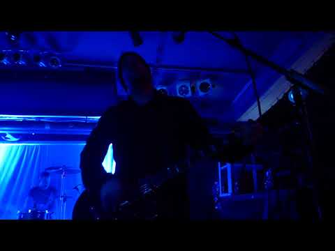 Then Comes Silence - Animals