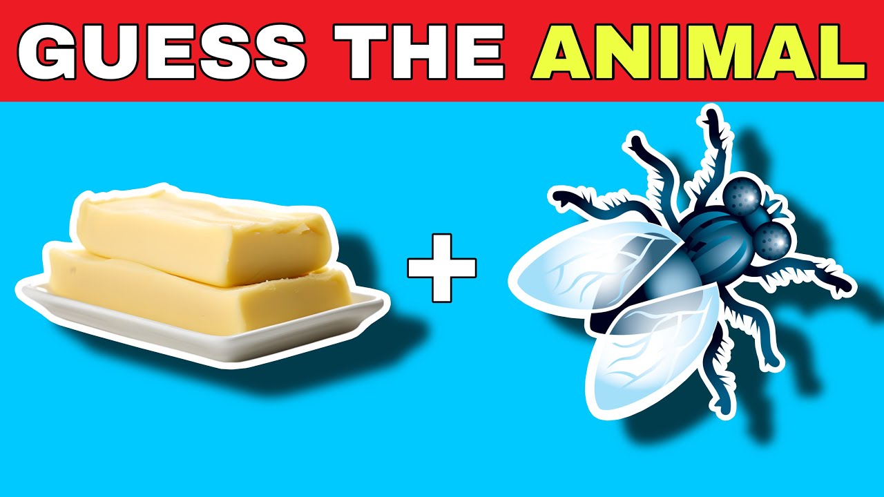 Guess The ANIMAL by Emojis? 🤔 Emoji Quiz 2024 | Quiz Aqua