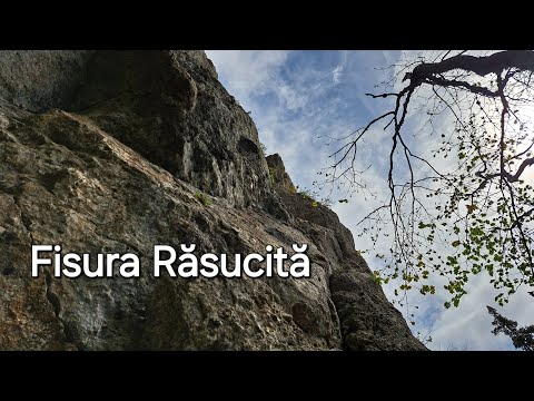 Fisura Răsucită | Costila