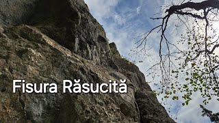 Fisura Răsucită | Costila