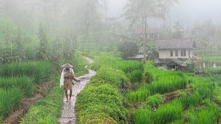 Download lagu Disertai Petir!!, Tapi Bikin Betah. Hujan Deras Di Kampung Mengguyur Jawa Barat Cisewu Garut Selatan mp3