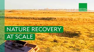Download lagu Nature Recovery at Scale: Abbotts Hall Farm mp3