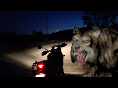 WILKOŁAK WCIELIŁ SIĘ W ZMARŁEGO