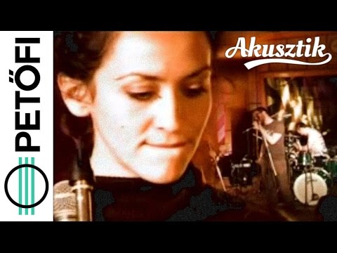 The Unbending Trees - Overture (Petőfi Rádió Akusztik)