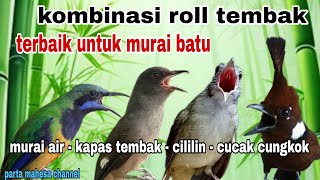 Download lagu Masteran Suara Jernih Murai air mancur - Kapas tembak - Cililin - Cucak cungkok mp3