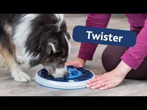 Trixie Dog Activity Strategy Game Twister 11