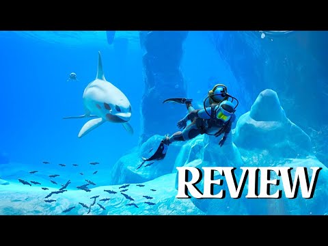 Marine Biologist Reviews Endless Ocean Luminous | Nintendo Switch