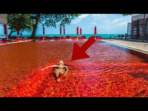 download lagu mp3 mp4 Piscine Eureka, download lagu Piscine Eureka gratis, unduh video klip Piscine Eureka