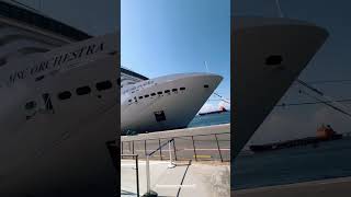 Msc Orchestra Cruise ship by msc friends the foodies ♥️ #mscorchestra #msccruises