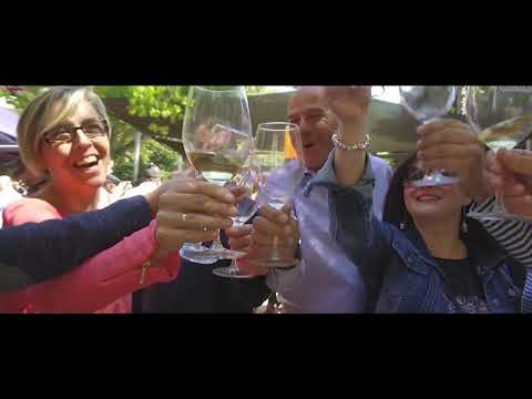 Jumilla wine fiestas 2023, Spain